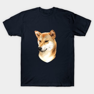 Shiba Inu Stunning Dog! T-Shirt